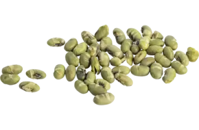 Edamame bonen geroosterd 700gr
